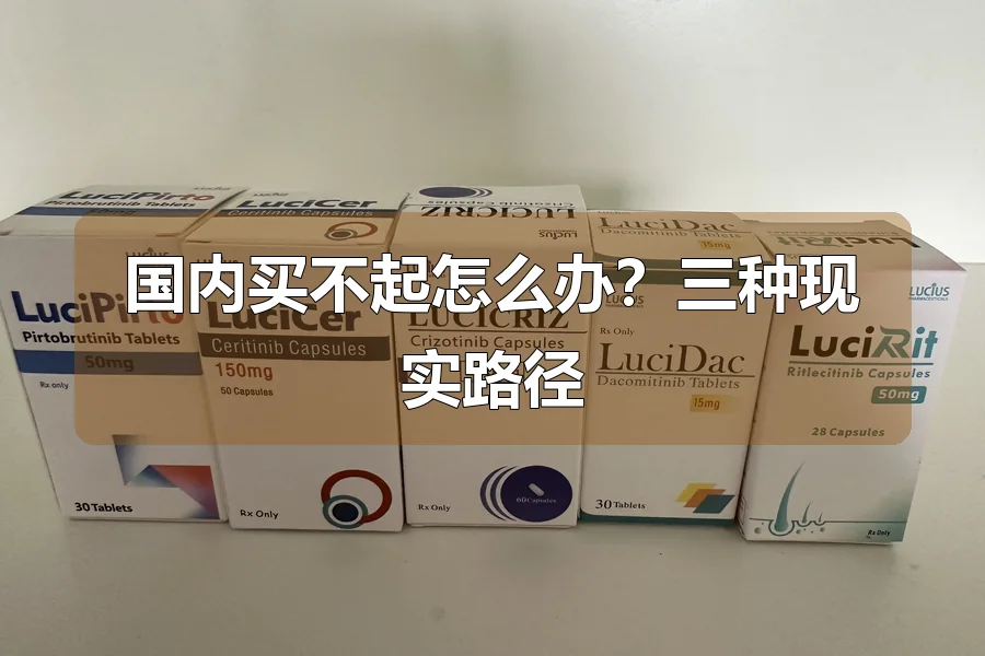 国内买不起怎么办？三种现实路径