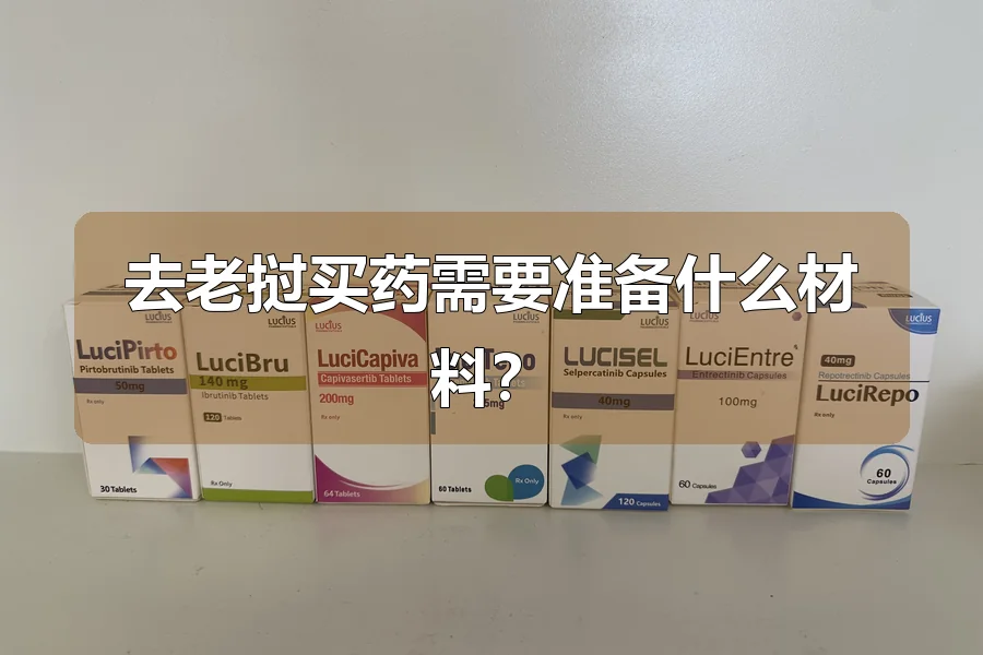 去老挝买药需要准备什么材料？